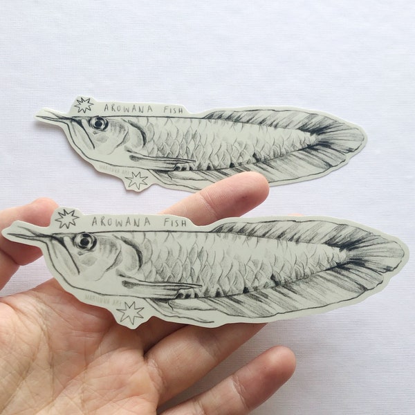 Arowana Fisch Kunst Sticker, Bleistift Fisch Illustration, Wasserfester glänzender handgemachter Sticker, Journalling, Planer