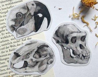 animal skulls art sticker set, skull journal planner sticker bundle, witchy magical stickers, monkey, parrot and rabbit