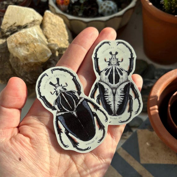 goliathus beetle art sticker set, bugs journal planner sticker bundle, insect stickers, entomology artwork