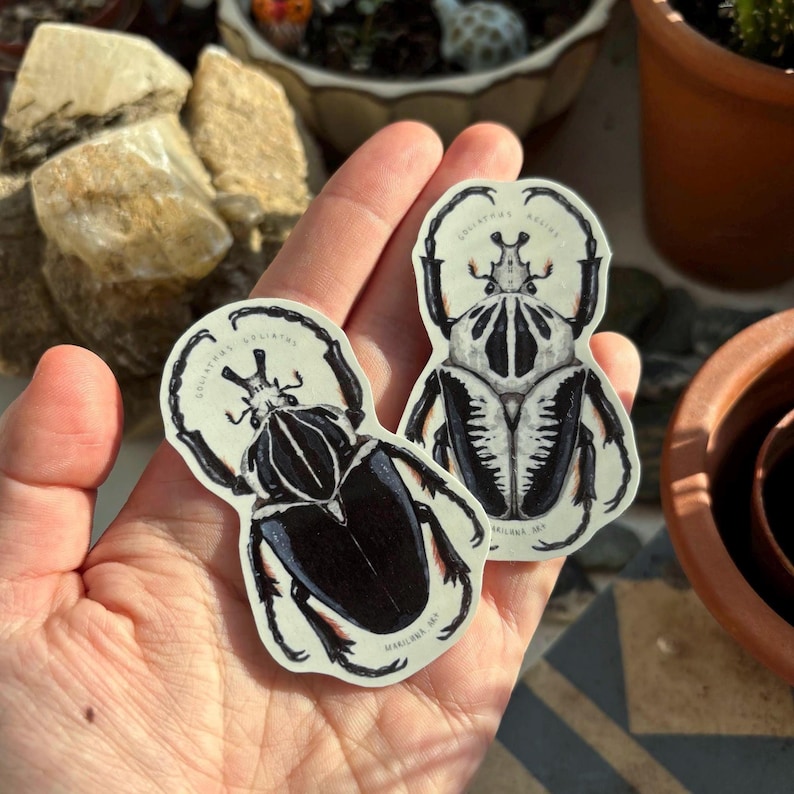 May include: Two stickers featuring detailed illustrations of beetles. The beetles are primarily black and white, with intricate patterns on their bodies and wings. Each sticker has a circular border with text, and the artist's name is printed at the bottom.