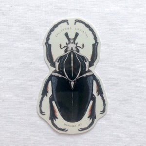 May include: A sticker featuring a detailed illustration of a Goliath beetle. The beetle is primarily black with white and brown accents. The text "GOLIATHUS" is arched above the beetle's head, and "MARILUNA. ART" is printed below.