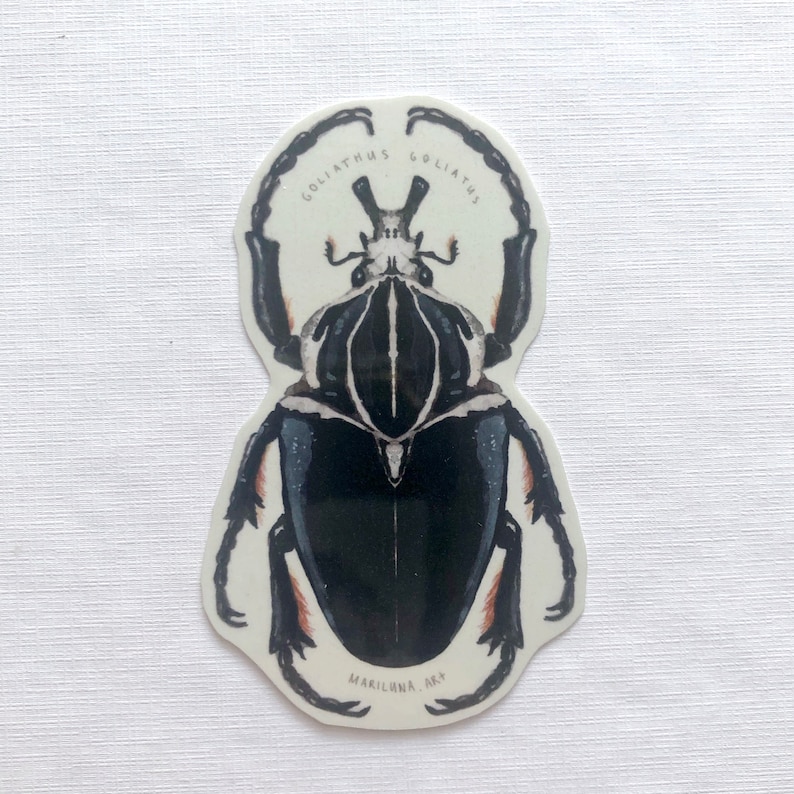 May include: A sticker featuring a detailed illustration of a Goliath beetle. The beetle is primarily black with white and brown accents. The text "GOLIATHUS" is arched above the beetle's head, and "MARILUNA. ART" is printed below.