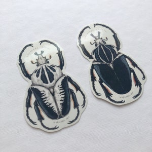 May include: Two die-cut stickers featuring detailed watercolor illustrations of Goliathus beetles. One beetle is primarily black and white, the other is black and gray. The stickers have the text "GOLIATHUS GOLIATHUS" and "MARILINA ART".