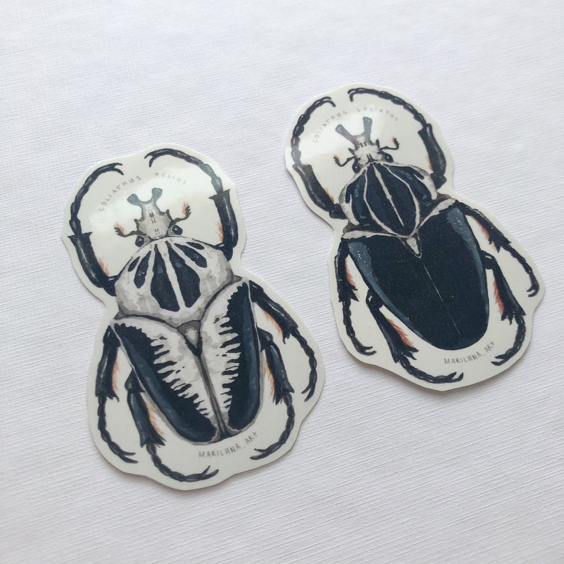 May include: Two die-cut stickers featuring detailed watercolor illustrations of Goliathus beetles. One beetle is primarily black and white, the other is black and gray. The stickers have the text "GOLIATHUS GOLIATHUS" and "MARILINA ART".