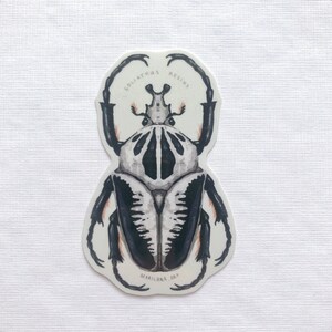 May include: A sticker featuring a detailed illustration of a Goliathus Regius beetle. The beetle is depicted in shades of black, white, and gray, with intricate patterns. The sticker includes the text "GOLIATHUS REGIUS" and "MARILANA ART".