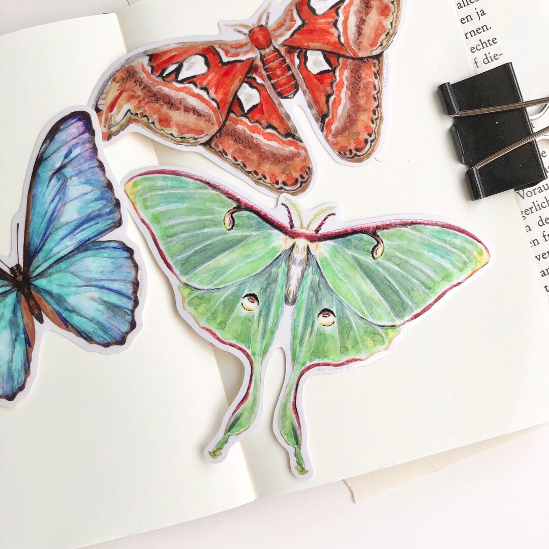 Luna Moth Art Sticker, Butterfly Actias Luna Journal Planner Sticker ...