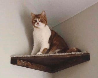 corner cat perch