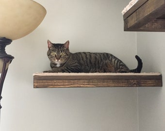 floating cat shelves etsy