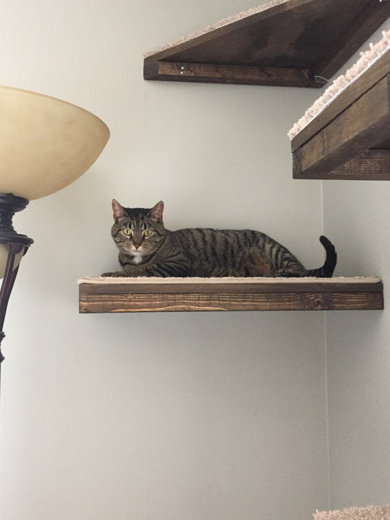 Set Of 2 One Rectangle And One Corner Cat Shelves With Etsy