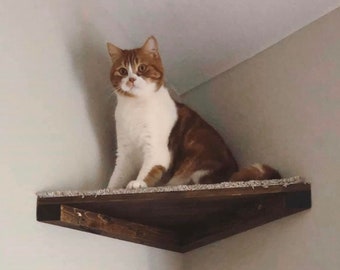 One Floating Corner Cat Shelf with Carpet Covering