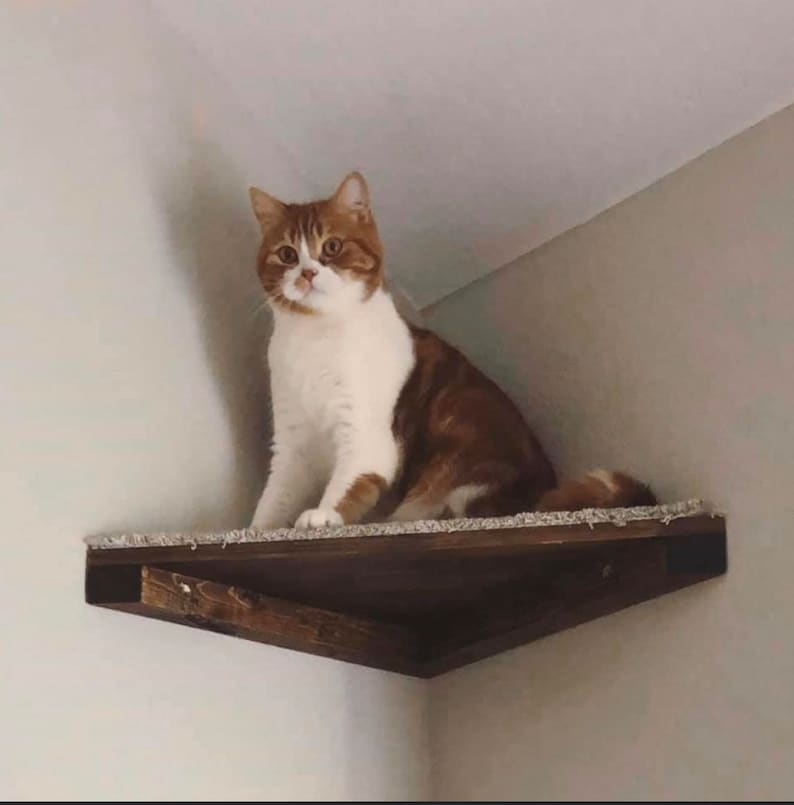 One Floating Corner Cat Shelf with Carpet Covering 