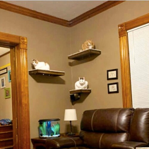 Set of 4 Floating Cat Shelves with corner shelf with Carpet - 1 rectangle, 2 squares, shops 1 corner
