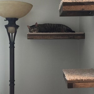 Set of 3 Rectangle Cat Shelves with Carpet