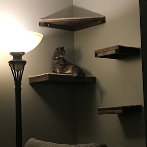 Set of 4 Floating Cat Shelves with corner shelf with Carpet 1 rectangle, 2 squares, 1 corner image 6