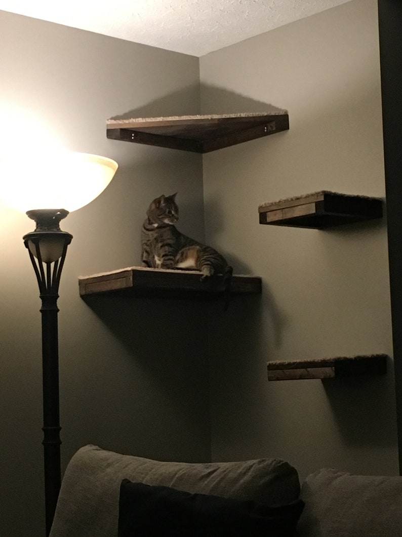 Set of 4 Floating Cat Shelves with corner shelf with Carpet 1 rectangle, 2 squares, 1 corner image 6