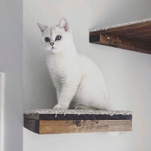 Set of 4 Floating Cat Shelves with corner shelf with Carpet 1 rectangle, 2 squares, 1 corner image 7