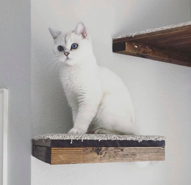 Set of 4 Floating Cat Shelves with corner shelf with Carpet 1 rectangle, 2 squares, 1 corner image 7