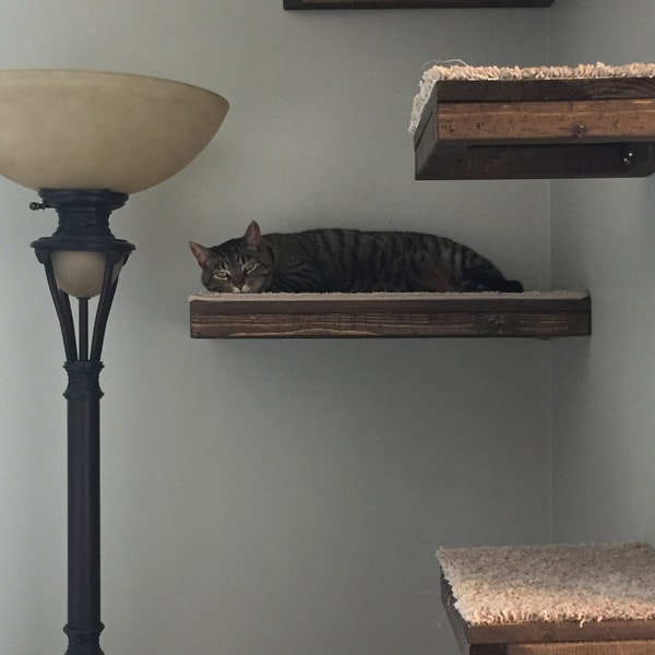 One Floating Rectangle Cat Shelf with Carpet Covering