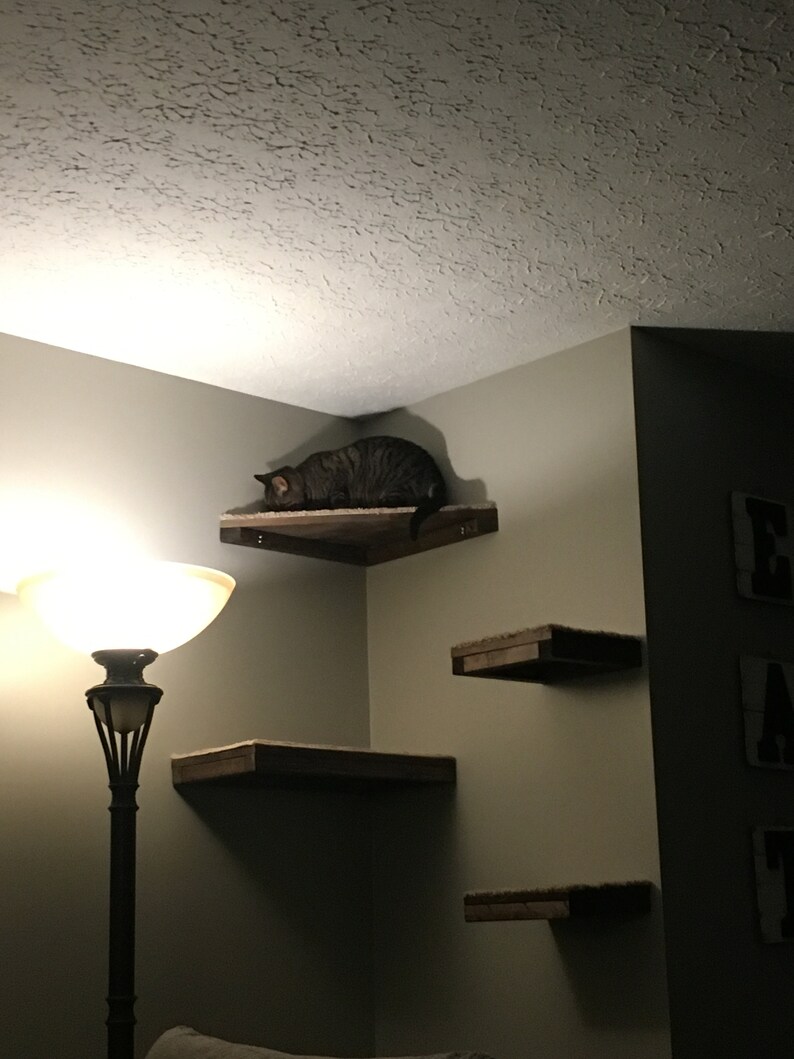 Set of 5 Floating Cat Shelves With Corner With Carpet 2 Etsy