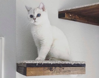 Set of 3 - Two Square and One Rectangle Cat Shelves with Carpet