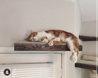 Set of 2 Floating Rectangle Cat Shelves with Carpet Covering