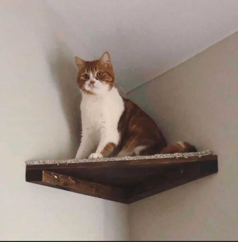 Set of 4 Floating Cat Shelves with corner shelf with Carpet 1 rectangle, 2 squares, 1 corner image 8