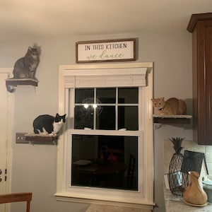 Set of 4 Floating Cat Shelves with carpet - 3 corners and 1 rectangle