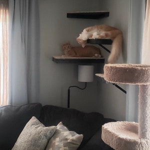 Set of 4 Floating Cat Shelves with corner shelf with Carpet 1 rectangle, 2 squares, 1 corner image 3