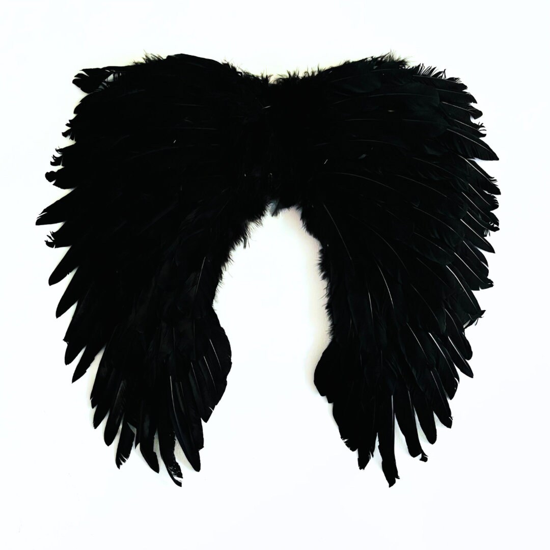 Black Wings for Halloween Costume Black Wings Set for Carnival Costume