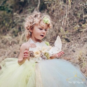 Fairy Tutu Dress Deluxe Set para niño pequeño Tinkerbell Tutu Flower Girl Wedding Tutu Dress para niñas Regalo para su vestido de cumpleaños imagen 2