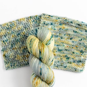 Fingering Superwash merinonylon sokkengaren tonale kleur handgeverfde sokkenset cadeaugaren FIGI