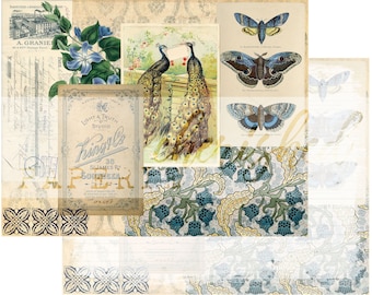 Könnte beinhalten: Eine Vintage-Collage mit einem Pfau, Schmetterlingen und Blumenmustern. Die Collage enthält ein Etikett für "Light & Truth Studio" mit dem Namen "King & Co." und der Adresse "38 St. James Rd. Southsea."