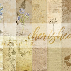 Könnte beinhalten: Eine Collage aus Bildern im Vintage-Stil mit einem zarten Spitzenrand, floralen Illustrationen und dem Wort "cherished" in kursiver Schrift.