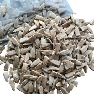 Vogelhaus Kürbis Samen (Packung mit 20)