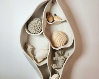 May include: A white ceramic wall shelf with a unique, organic shape, filled with various seashells and coral. The shelf has multiple compartments, each holding a different type of sea life, creating a coastal theme.