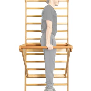 May include: A person doing a dip exercise on a wooden wall-mounted pull-up bar. The bar is attached to a wooden wall ladder with the text "BEYOND" printed on the bottom rung.