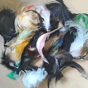 Vintage Millinery feathers