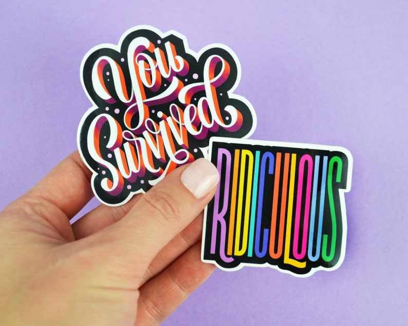 2020 Sticker Pack You Survived Ridiculous Vinyl Stickers Decal Laptop Sticker Lettering Art Unique Sticker Sarcastic Sticker image 1