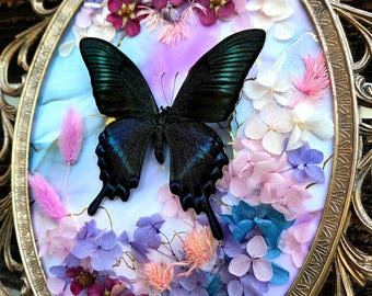 Vintage Domed Glass Metal Frame with Mounted Entomology Butterfly and Dried Flower Wall Decor