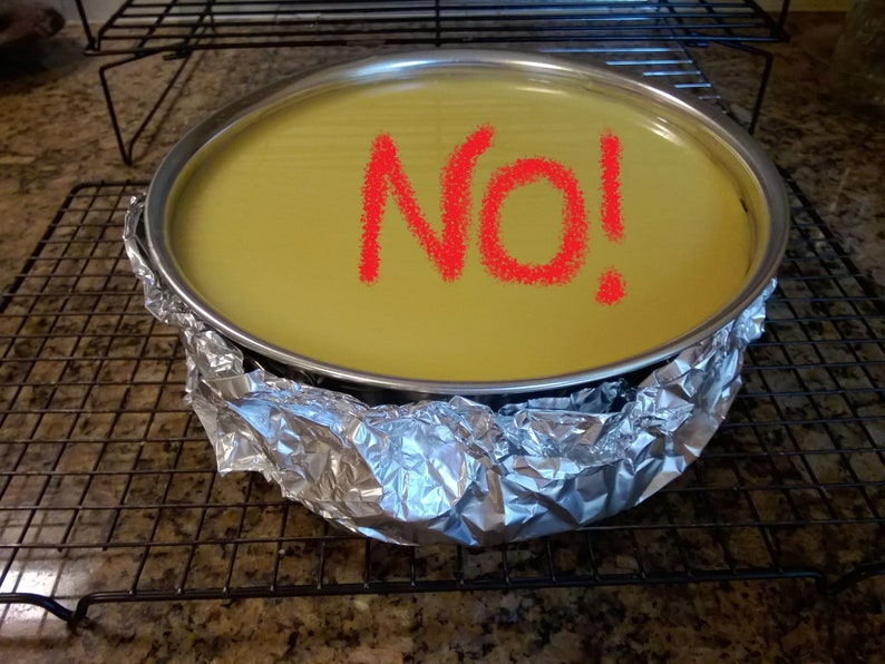 Easy Bath Cheesecake Wrap a Silicone Springform Pan Protector Etsy