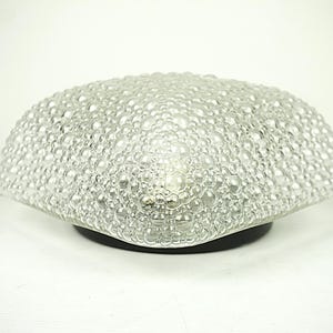 May include: A clear glass lamp with a bubble texture, set on a black base. The lamp has a rounded, dome-like form and a white power cable. The surface is covered in small, irregular bubbles, creating a distinctive visual texture.