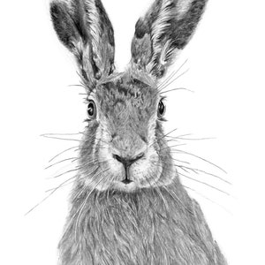 Hare art print 4x6 A4- A3