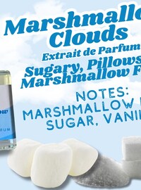 Marshmallow Perfume, gourmand dessert perfume, viral tiktok perfume,  sweet scent of vanilla, marshmallow fluff, sugar, bakery fragrance