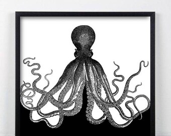 Black & White Octopus Print