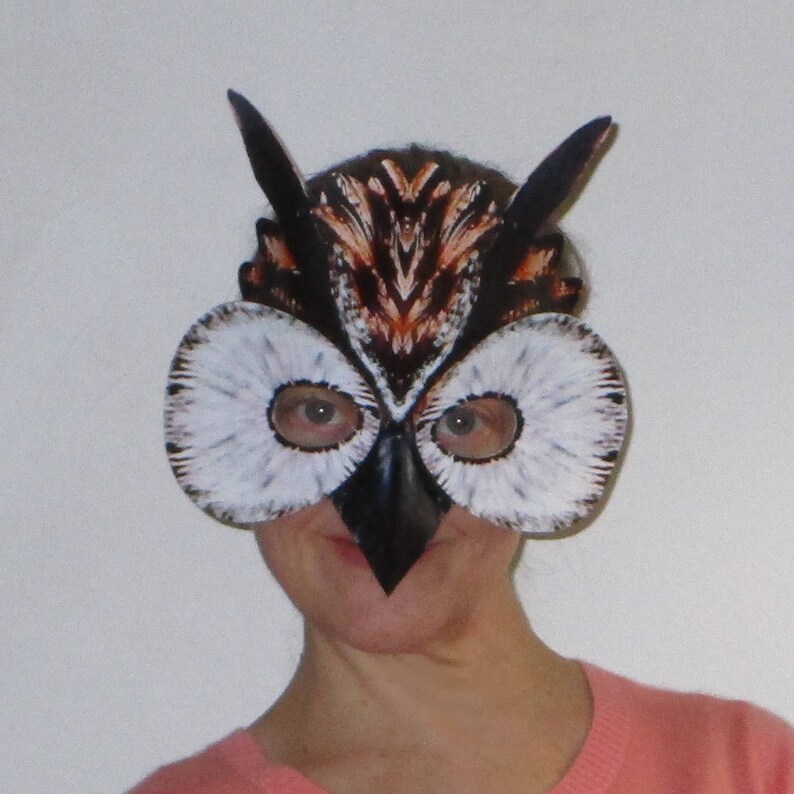 May include: A brown, black, and white owl mask with large, round eyes. The mask is made of paper or cardboard and has a feathery texture.