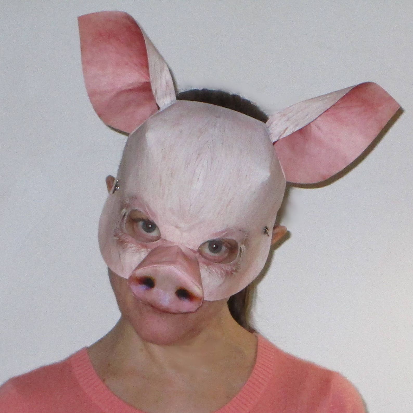 Pig Mask, Halloween Mask, Animal Mask, Masquerade Mask, Costume Mask, Theatre Performance Mask