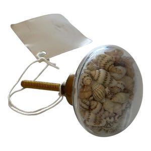 1 Live Seashell Filled Glass Drawer Pull Knob Cabinet Handle Gold Beach Decor