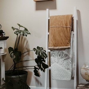 May include: A white wooden ladder leaning against a wall, displaying two blankets. One blanket is a solid tan color, and the other is a white and gray paisley pattern. A large potted plant with large green leaves is in the foreground.