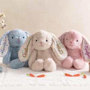 Knuffel met naam, paascadeau, peutercadeau, aangepast pluche konijntje, kraamcadeau, decor kinderkamer, cadeau voor kind, cadeau voor jongensmeisje