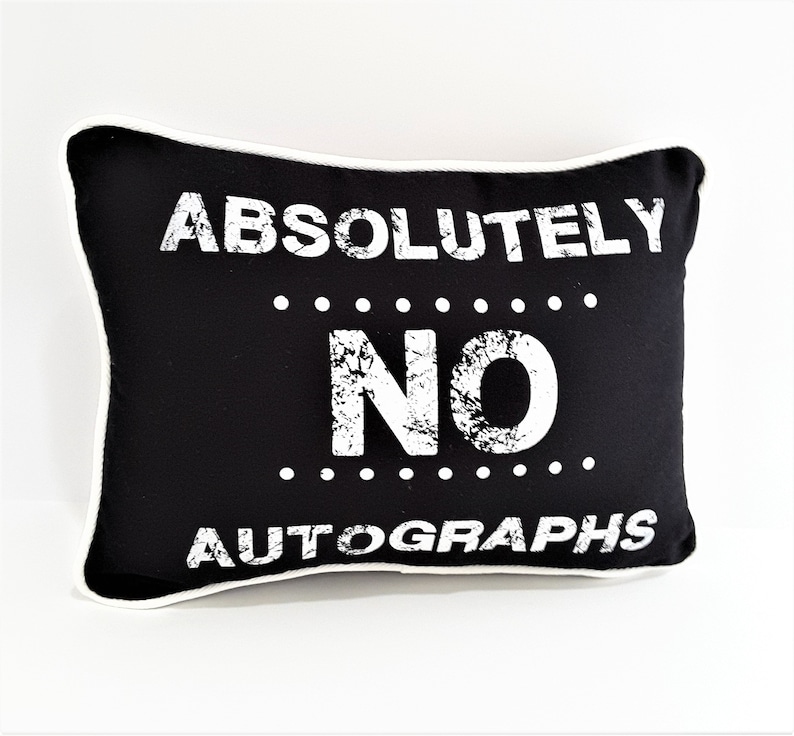Birthday Gift Denim Decorator Pillow Cover Housewarming Gift Friend Gift Gift for Client Gift for ActorActress funny pillow
